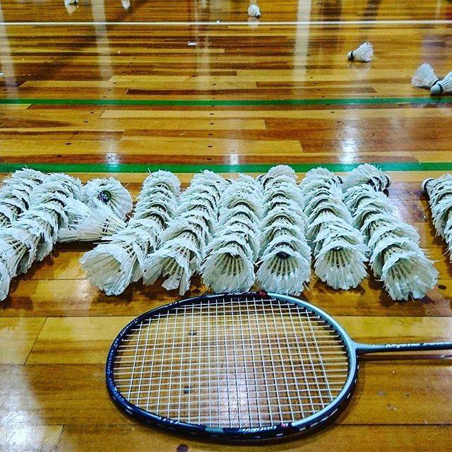 Instagram (7641)