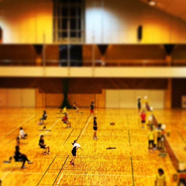 Instagram (8464)