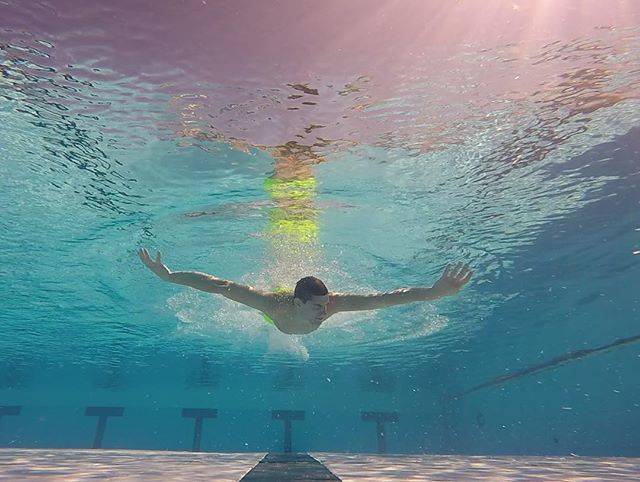 Instagram (9690)