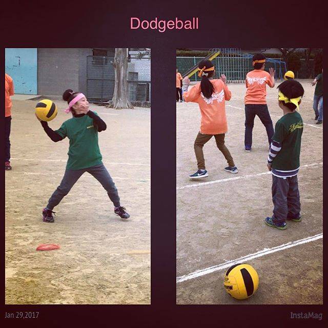 Instagram (10860)