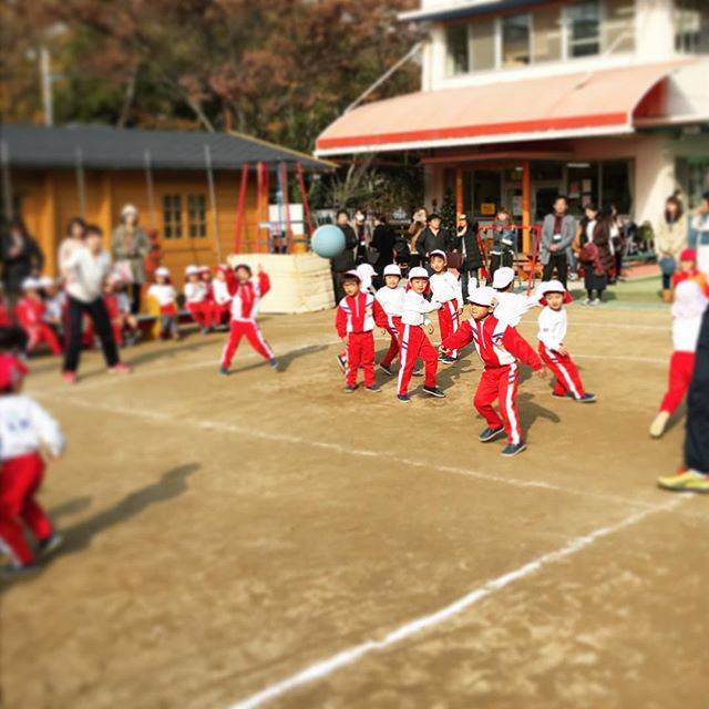 Instagram (11376)