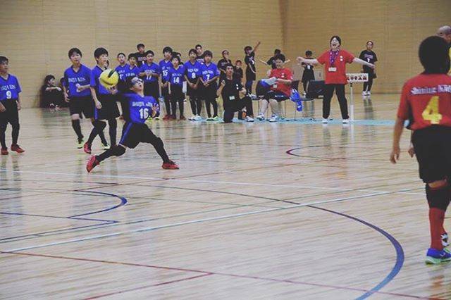 Instagram (11388)