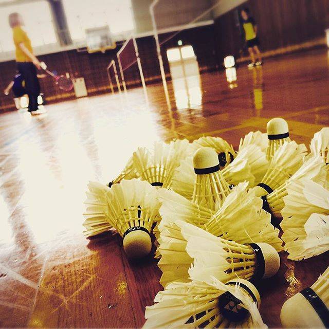 Instagram (12011)