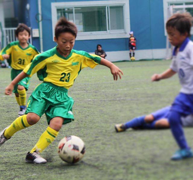 Instagram (12690)