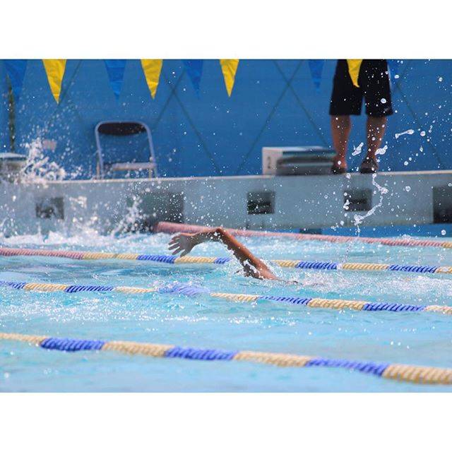 Instagram (13863)