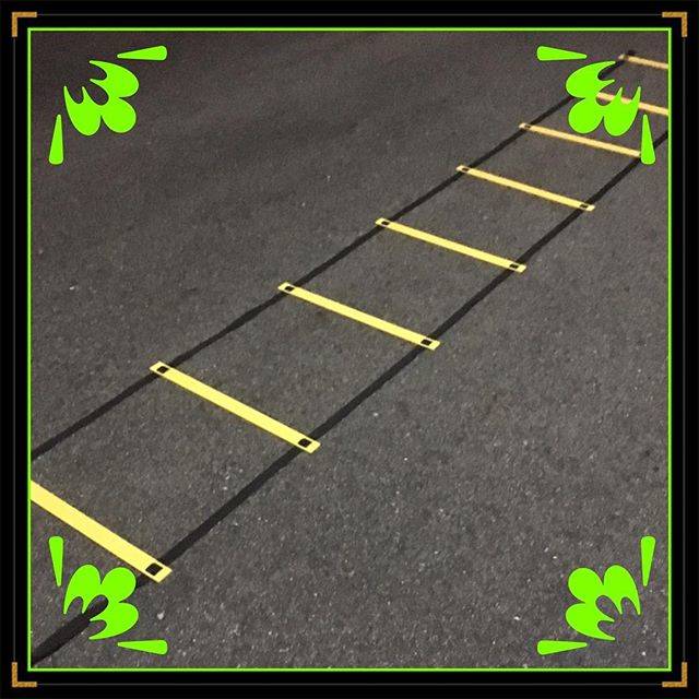 Instagram (14185)