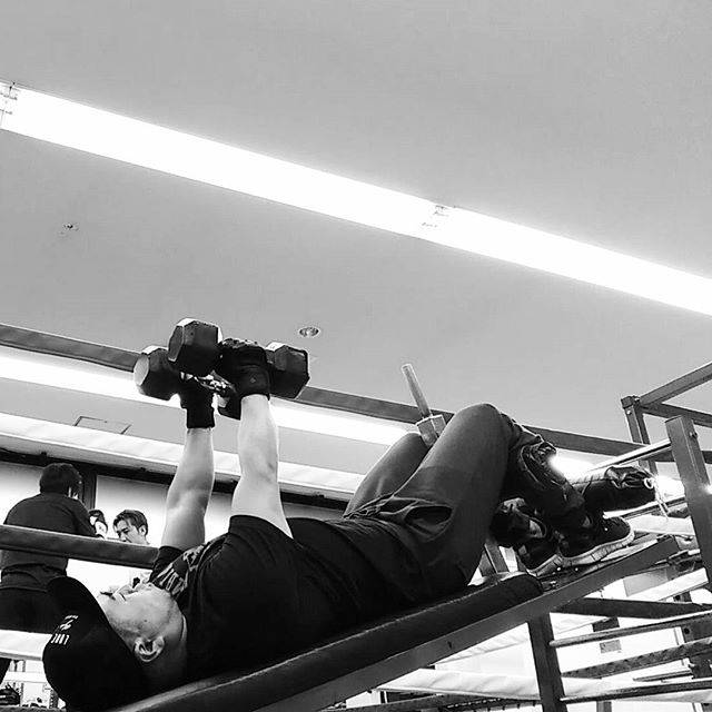 Instagram (17114)