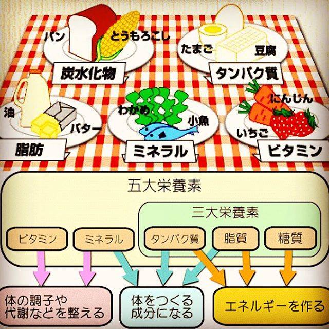 ryota on Instagram: “☺︎ #五大栄養素 ビタミン ミネラル タンパク質 脂質 炭水化物a.k.a.糖質  #三大栄養素 タンパク質 脂質 タンパク質a.k.a.糖質  #体の調子や代謝などを整える ビタミン、ミネラル、タンパク質  #体をつくる成分になる ミネラル、タンパク質、脂質…” (24280)