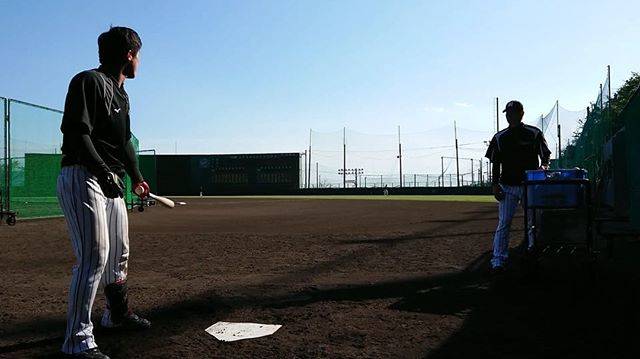 阪神タイガース on Instagram: “秋季キャンプ第4クール1日目。陽川選手のロングティーと野手グループの投内連係の様子です！#阪神タイガース #陽川尚将 選手#ロングティー #投内連係 #野手#中谷将大 選手 #大山悠輔 選手 #板山祐太郎 選手 #高山俊 選手 #江越大賀 選手” (25197)