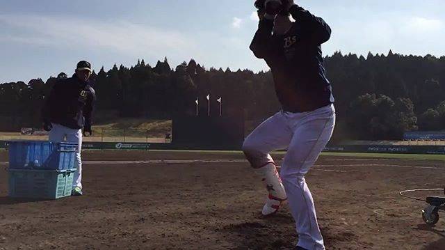オリックス・バファローズ公式 on Instagram: “#Bs春季キャンプ#宮崎#ロングティー#後藤選手#駿太選手#後藤駿太選手#後藤駿太#Bs2018#buffaloes#baseball#ORIX#プロ野球” (25210)