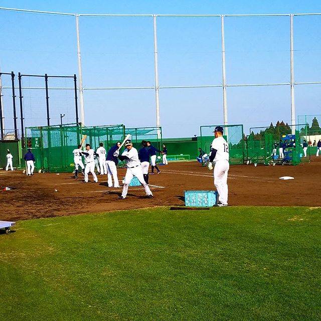 Yuichiro Hayashi on Instagram: “ロングティー? 計10ヶ所で同時に行います!!!外野に次々ととんでいく打球は見てて清々しい?終わった後の整備が多くて大変なのはここだけの話、、、(笑)選手も手伝ってくれますありがとうございますm(_ _)m…” (25211)