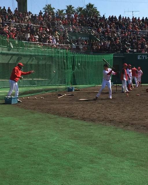 @tokyo_carp_girl_51 on Instagram: “＊〜宮崎キャンプ〜in日南❷丸ちゃんバッティング⚾︎?シュッ、シュッって言っててかわい?#丸佳浩 #9 #日南キャンプ #ティーバッティング #2017mvp #頼れるリーダー #不動の3番 #2018も #チームを引っ張る存在＊＊＊” (25673)