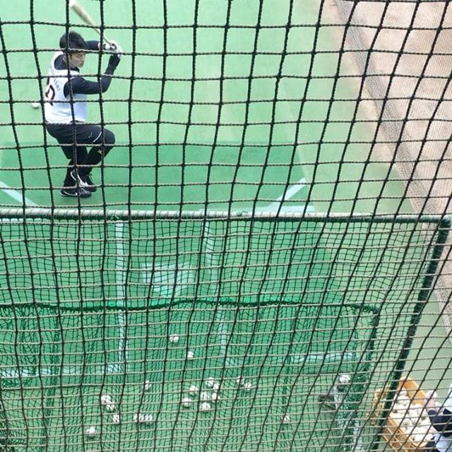 @kitune_tanuki on Instagram: “巨人 ドラフト6位 若林晃弘選手(桐蔭学園高-法政大-JX-ENEOS)のティーバッティング⚾#巨人#ジャイアンツ #新人合同自主トレ#若林晃弘選手#ティーバッティング” (25676)