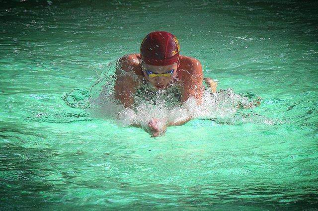 Tomo SasakiさんはInstagramを利用しています:「#swim #swimmer #instaswim  #swimming #swimmingpool  #pool #breaststroke #daughter  #水泳 #競泳 #水泳部 #水泳大会 #スイマー #ジュニアスイマー  #平泳ぎ #姉 #娘…」 (26977)
