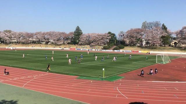 00000 on Instagram: “#?? #japan #日本 #東京 #tokyo #武蔵野市立武蔵野陸上競技場 #soccer #サッカー #サッカー場 #sunny #jfl #奈良クラブ #奈良 #away #桜 #sakura #pink #cherryblossom #? #花 #flower…” (30387)