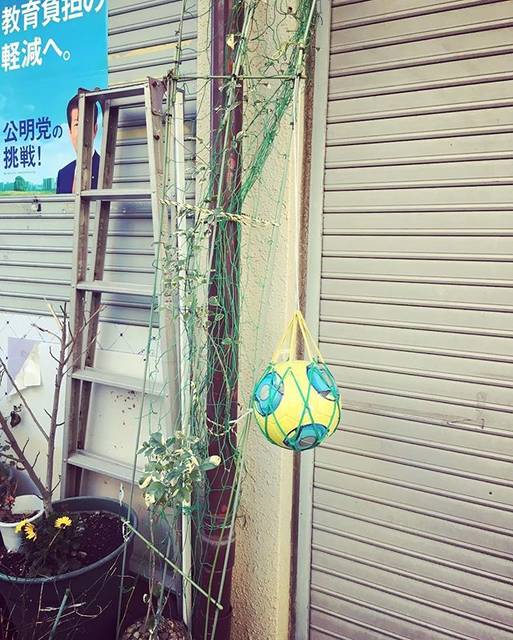 sachikoさんはInstagramを利用しています:「半年前、無くしてしまったサッカーボール⚽️近隣の区の警察3つに紛失届けを出したけど出てこなくて…もうすっかり諦めていたのに。。。なんとご近所の人が拾ってくれていて、気がつくようにと外に飾ってくれていた? 何度もこの道通っていたのに…やっと気がついた！…」 (30968)