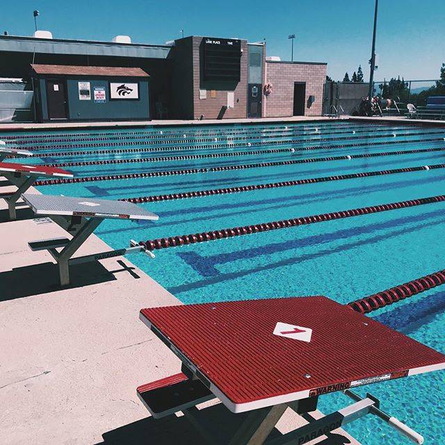 Claremont Swim & DiveさんはInstagramを利用しています:「1 week until Palomares League Finals!!!??‍♀️??‍♀️??‍♂️??‍♂️?‍♂️」 (33250)