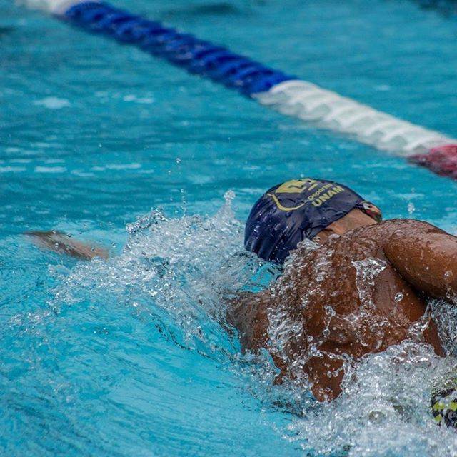 Leonardo PerezさんはInstagramを利用しています:「Todo es parte del rompecabezas, solo hay que ser paciente y poner las piezas correctas. - @yacm_mx - #natacion #swimming #swimming…」 (33268)