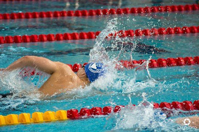 KMPhotoさんはInstagramを利用しています:「Freestyle . . . . . . . . #swimming #swim #water #pool #wet #sport #fit #swimsuit #fast #fun #swimmingpool #swimmer #watersport…」 (33270)