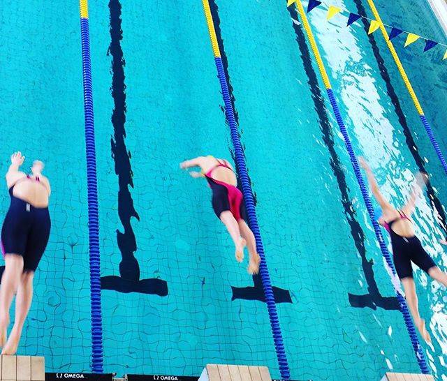 eSWIM.CZさんはInstagramを利用しています:「#swim #swimwear #swimmingpool #swimmer #swimmingstart #swimmingstar #letswim  #swimming #eswim #beforestart #letsgo #iloveswim…」 (35776)