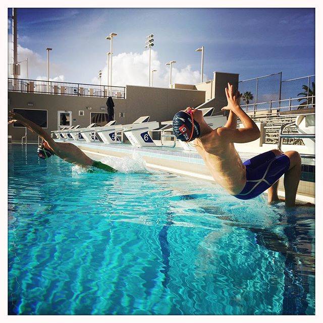 Karen YeomansさんはInstagramを利用しています:「Some Bermuda Sharks action ⭐️ backstroke starts ⭐️ #swimming #action #watersports #bermuda #sharks #backstroke #swimmingstart #swimclub」 (35777)