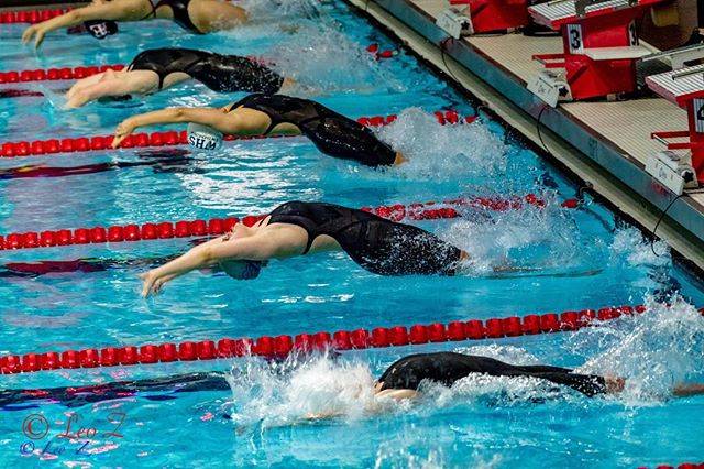 Herbert Zwartkruis on Instagram: “Testing my new Nikon D850 with the big 200-500 mm zoom at the Union County High School Swim Meet @ Rutgers University.  #LeoZ #nikond850…” (36272)