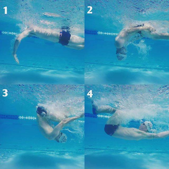 Chad Castillo, Swim Coach ?さんはInstagramを利用しています:「?Freestyle and Backstroke TURNS? - Hate them or love them, if you train in a pool you have to negotiate turns. - If you are going to…」 (36716)