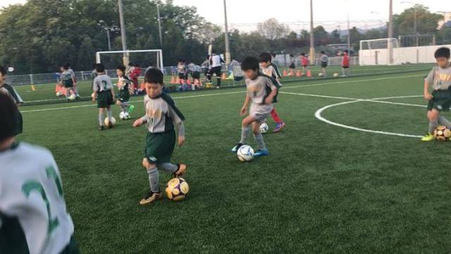 FC.FERVOR_official on Instagram: “ジンガトレーニング?? 足元の技術を向上させるために取り入れています?‍♂️ ジンガの解説動画や宿題をこれから出していくのでお楽しみに?  #サッカー  #サッカー少年  #テクニック  #自主練  #ジンガ  #宿題  #子供  #サッカー日本代表  #サッカー部…” (37577)