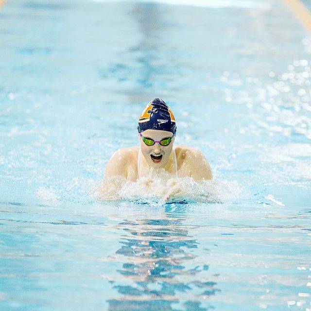 Denise BardsleyさんはInstagramを利用しています:「#shoulders #swimmershoulders #breaststroke #mcac #swimmac1977#swimmac」 (37961)