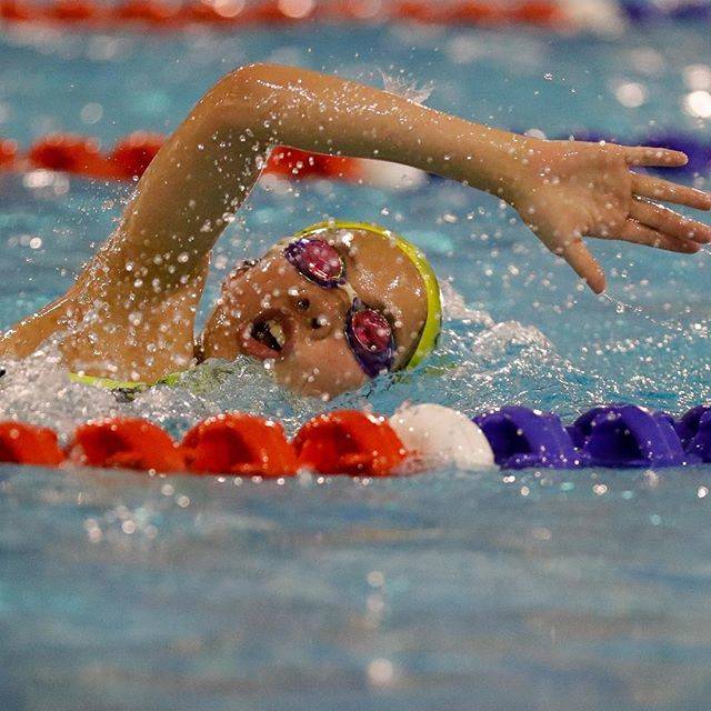 Karin BremerさんはInstagramを利用しています:「The relentless pursuit of excellence requires hours of dedication. Day in day out these young swimmers are constantly improving and chasing…」 (41564)