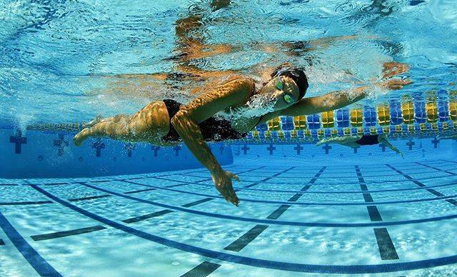Stockholm Int. Swimming ClubさんはInstagramを利用しています:「When improving your Front Crawl technique aim to keep your body position as flat as you can to be streamlined in the water with a slight…」 (41572)