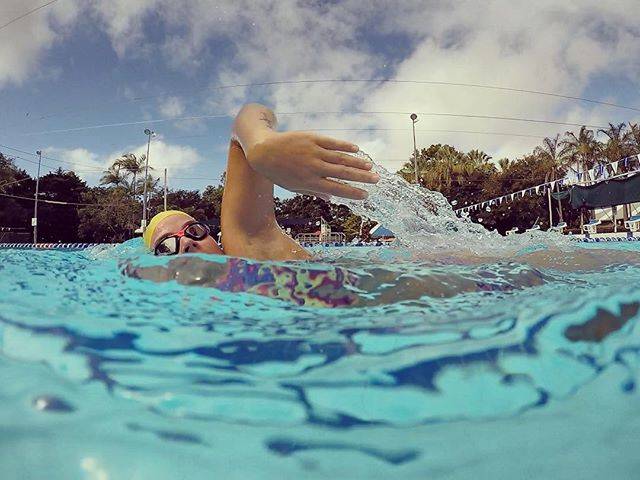 Meg RadcliffeさんはInstagramを利用しています:「Just enjoying the sun coming out and free pool lanes ☀️??‍♀️ #tzeromultisport #tzerogirls #officalfohette #swimmer #cairns #sunny #holiday…」 (43183)