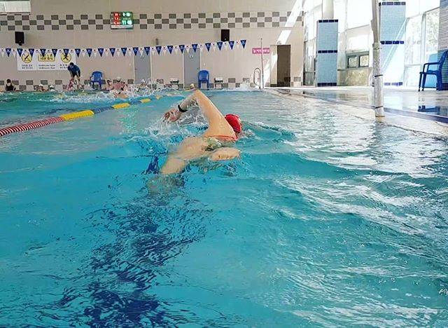 Honey frenchieさんはInstagramを利用しています:「#freestyleswimming #crawl #2bits #slow」 (43191)