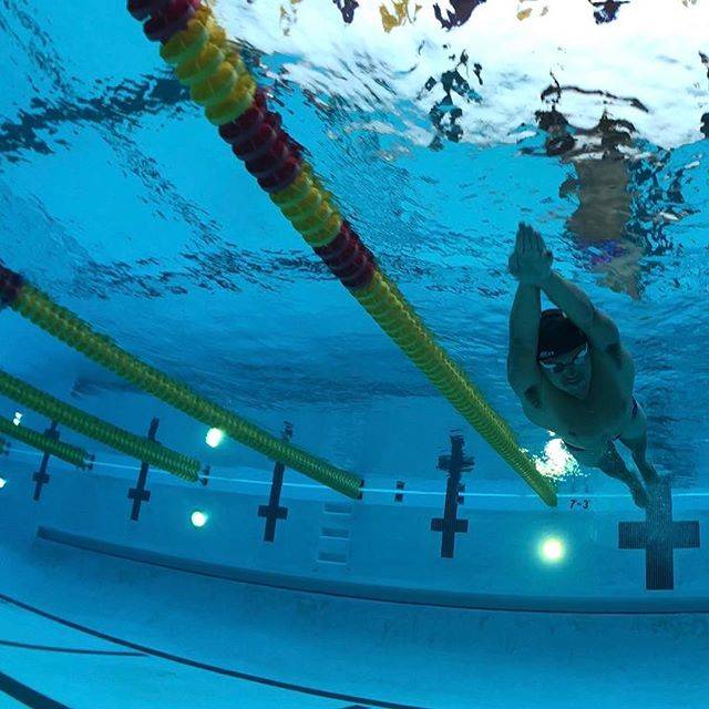 Split Swim Co.さんはInstagramを利用しています:「Because I couldn’t imagine my life without it ?‍♂️」 (43338)