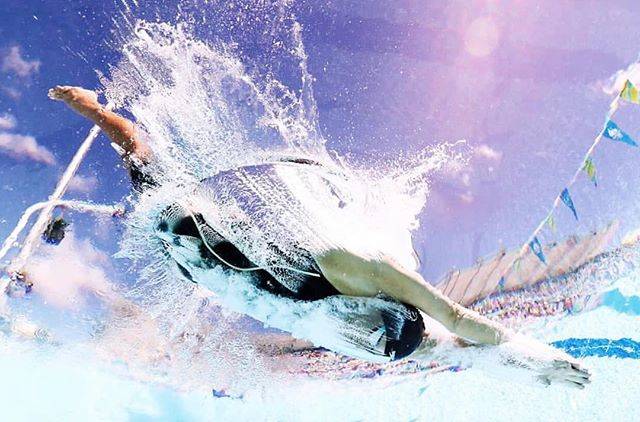The St. JamesさんはInstagramを利用しています:「Swimmers know...after you dive in, it’s all a blur until you reach the touch pad. #PushYourself #TheStJames ?: @sophpascoe1」 (43472)