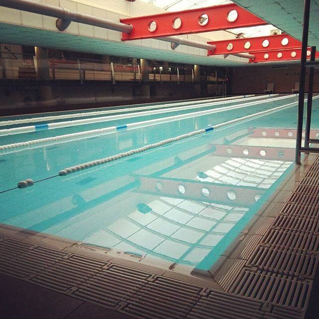 Swimming.love.igsさんはInstagramを利用しています:「Are you ready? Estás preparad@? · · · · · ·  it Repost by @orcasacademy ? Comment below if You like this? ? Love to tag? Please do!⤵ ?…」 (43562)