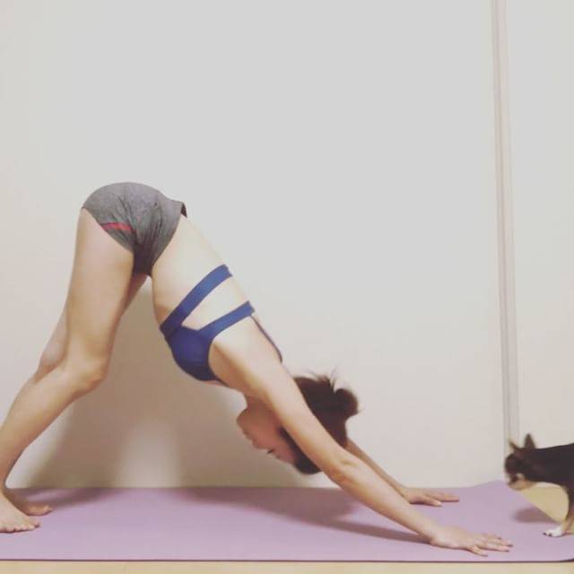 EMIYOGAさんはInstagramを利用しています:「#emiyoga_m #ヨガ #ヨガインストラクター #ヨガ講師 #ヨガポーズ #柔軟 #筋肉 #インナーマッスル強化 #心の安定 #月経血 #月経血コントロール #自由 #初心者歓迎 #六本木 #骨盤底筋 #骨盤底筋トレーニング #骨盤底筋群 #内転筋 #内転筋トレーニング…」 (51428)
