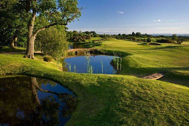 ½ green fee | +900 courses on Instagram: “?? #Play #CardenPark #cheshirecourse near #liverpool #england ??????? One round of ½ green fee - #Golfhaftet is valid every day. €55 link…” (52016)