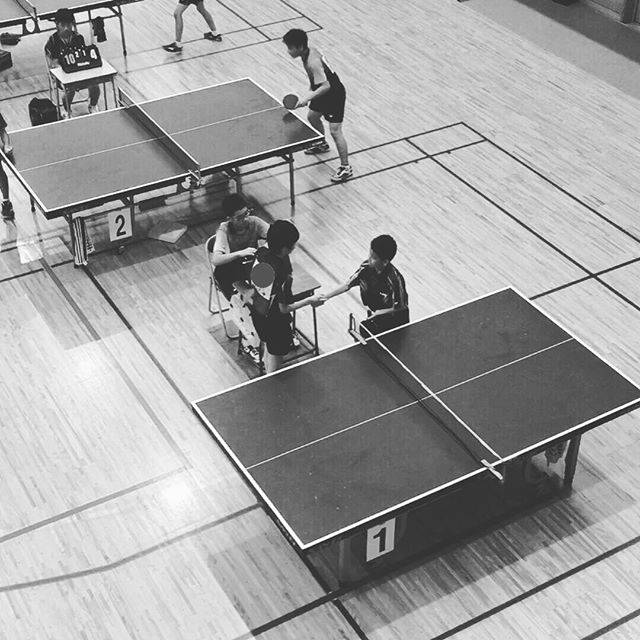 higashi tomomi on Instagram: “卓球の試合  部活の先輩と初戦であたって、勝ちました。最後の握手の時「強くなったね、楽しかったよ」と声をかけてもらいました。  泣ける！  最初は卓球の事なんにもわからなくて、先輩たちに教えてもらって支えてもらいました。  器が大きいなぁ 心が広いなぁと感じました。…” (52421)