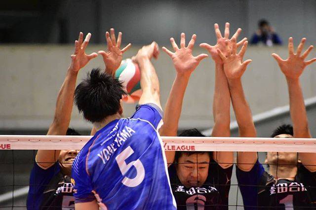瑞。 on Instagram: “#1日1枚 3枚ブロックをぶち抜く米山さん。めちゃくちゃかっこいい。#東レアローズ #東レアローズ男子 #米山裕太 選手” (56817)