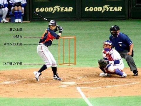 ♂一 "Yoko poko mayoko" ♂ on Instagram: “#衝撃の事実#ストライクゾーン#野球#Baseball#Strikezone#今まで肩から膝頭の下だと思ってた” (57055)