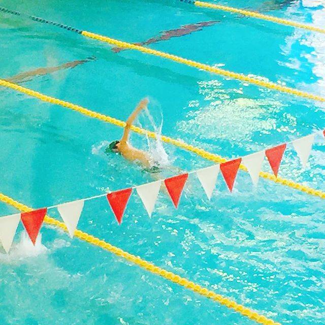 araimegumi on Instagram: “#次男 #久々の登場 #スイミング #発表会 #進級出来ず落ち込む #4級 #クロール #背泳ぎ #知らないうちに泳げるようになっていた?‍♂️” (57062)