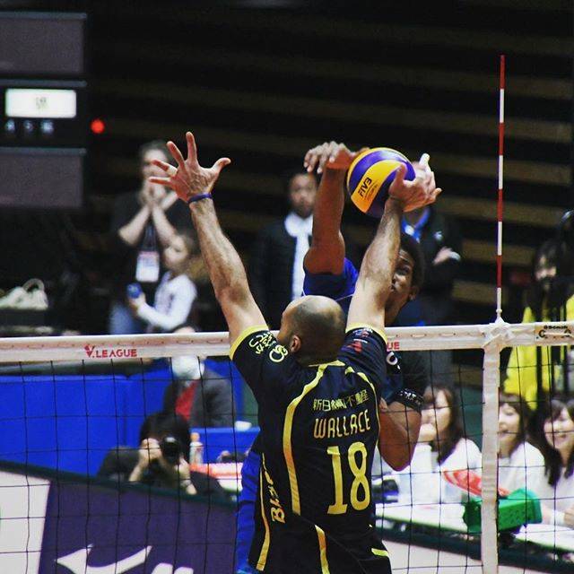 tomoko.k on Instagram: “連投すみませんでした。やっぱりネット際の攻防とかサーブ打つ瞬間とか撮れると楽しいなぁと。まだまだお勉強だけど。#Ｖプレミアリーグ#d500” (61224)