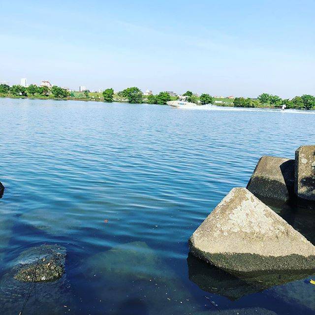 Edogawa Bigarm on Instagram: “テナガエビ師にとってボート野郎は割と本気で天敵#江戸川 ＃ボート #テナガエビ釣り #天敵 #tenagaebi” (62915)