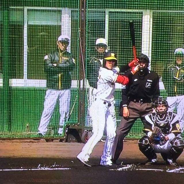 @sen0629sen on Instagram: “#西岡剛 #紅白戦#1番#ショート#スーパースター#選球眼#期待大” (63561)