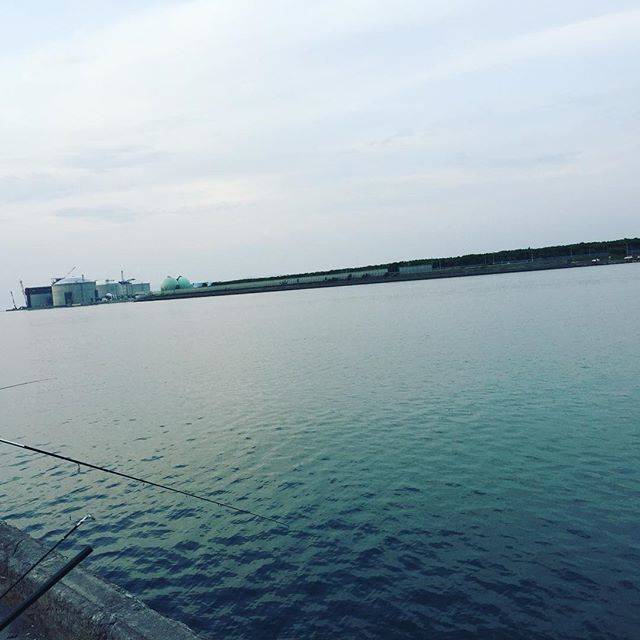 r1na ech1zenya on Instagram: “マメイカ釣れるかなー^ ^？#まめいか #釣り” (64473)