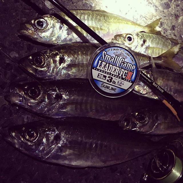 株式会社 サンライン on Instagram: “寒くてもついつい行ってしまう⁈魚が呼んでるんですよねwwアジングは寒さも忘れ、のめり込んでしまう。 専用タックルで臨めばより一層楽しめる☆  #sunline #saltimate #アジングライン #鯵の糸 #smallgameleaderfcⅱ #アジング…” (66631)