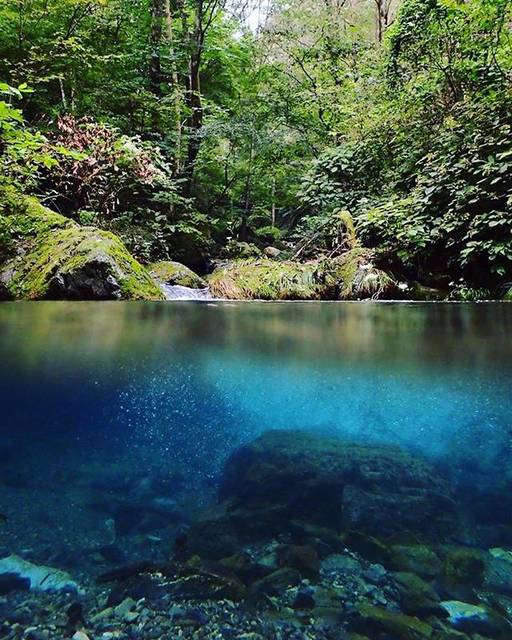 @kfisherwbsb on Instagram: “At Chichibu,Saitama,Japan?? My favorite place?✨ いつも僕を助けてくれる秩父の大自然。 愛してます。  #フライフィッシング #flyfishing #テンカラ #tenkara #flyfishingphotography…” (68845)