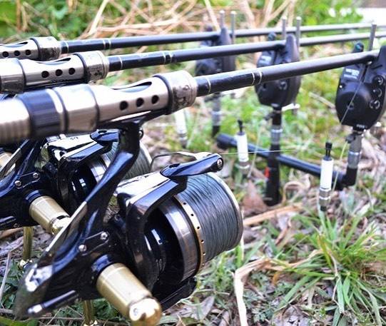 サンヨーナイロン株式会社 on Instagram: “☆サンヨーナイロン☆ TEAM NG-CARP ◆APPLAUD GT-R ULTRA ◆ Produced by Hajime Murata 100m巻　4lb～30lb 600m巻　6lb～30lb…” (69739)