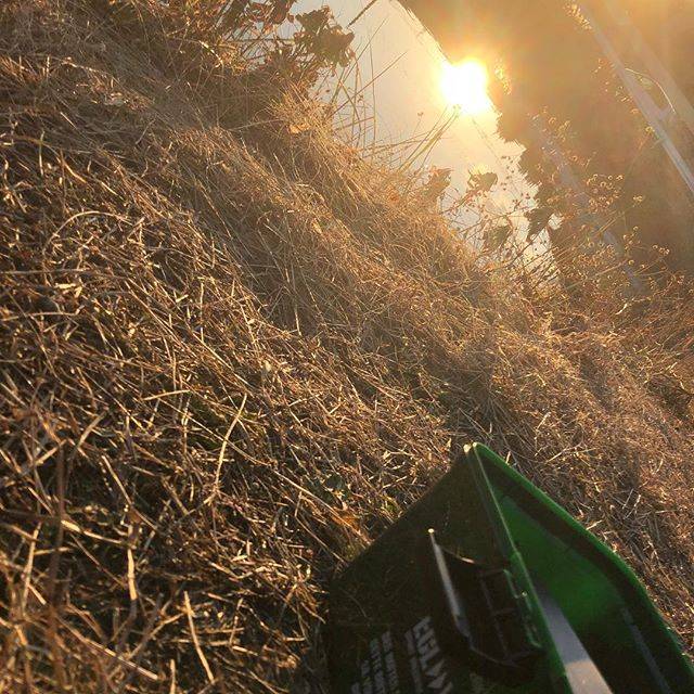 石川泰雅 on Instagram: “.2019.1.7初釣り 野池周り釣れませんでした…#釣り #バス釣り #初釣り #冬釣り #寒かった #今年こそ #40up” (73252)